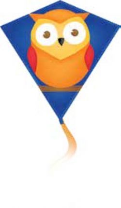 CERF-VOLANT HIBOU ORANGE VERT DIAMOND